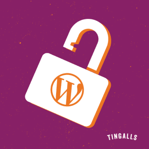 Custom WordPress cautions