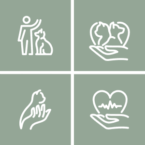 Set of four icons for a veterinary clinic