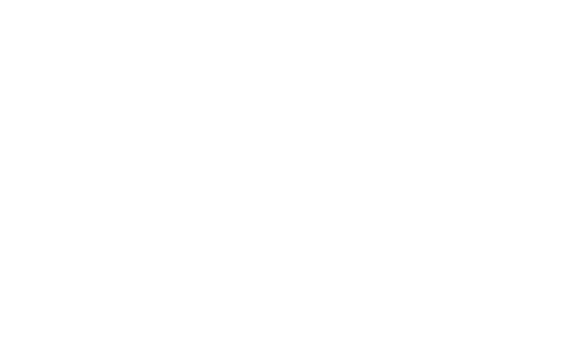 Premier Jiu Jitsu Logo Design by Tingalls Graphic Design